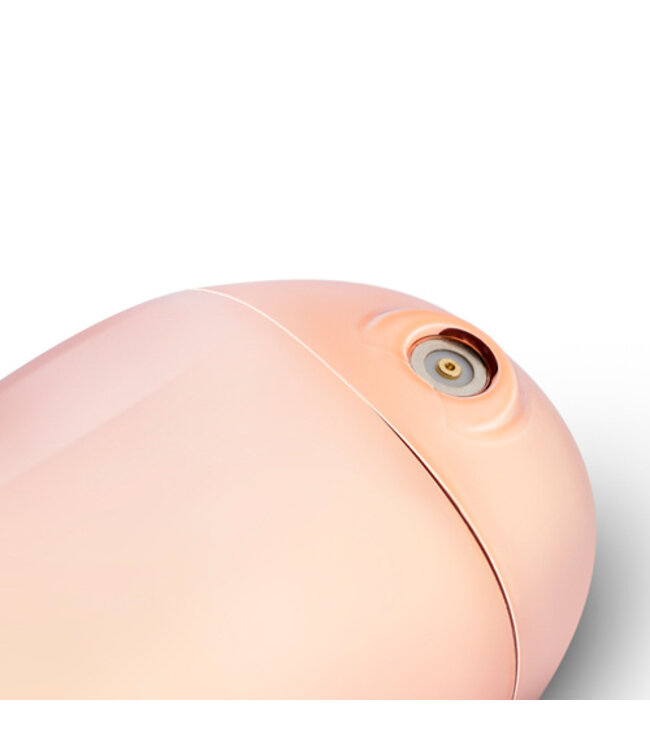 Rosy Gold - Nouveau Mini Massager