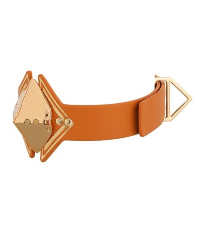 LOCKINK - Posture Luxe Collar en Lijn - bruin