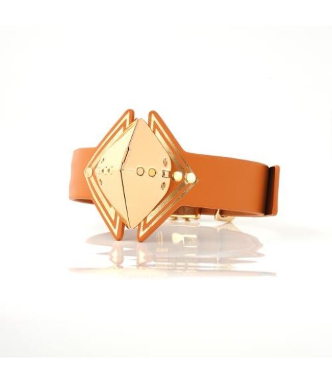 LOCKINK - Posture Luxe Collar en Lijn - bruin