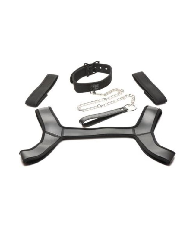Complete Puppy Bondage Set - Zwart