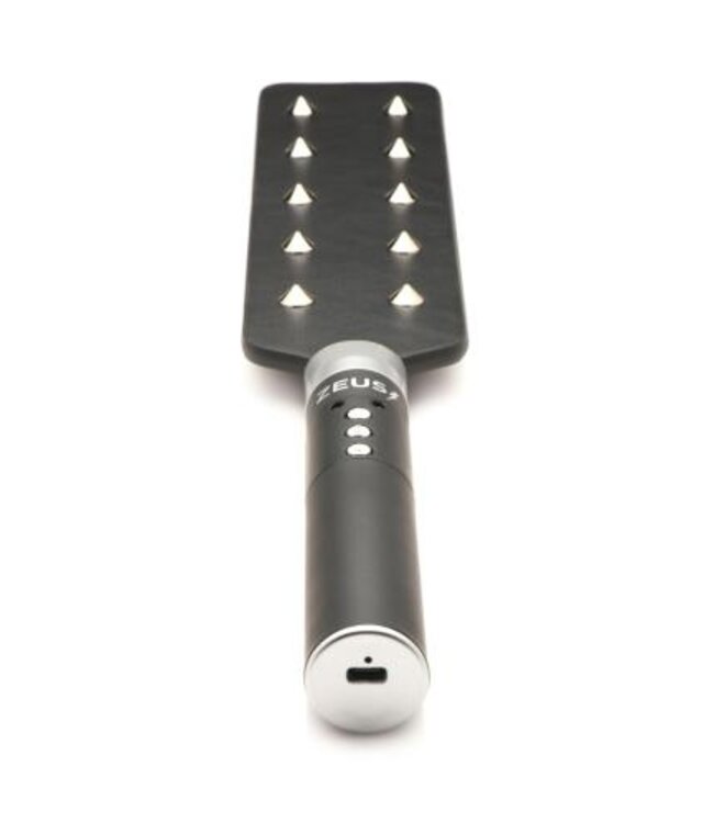 E-Stim Spiked Paddle