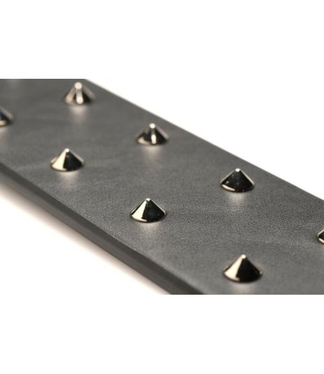 E-Stim Spiked Paddle