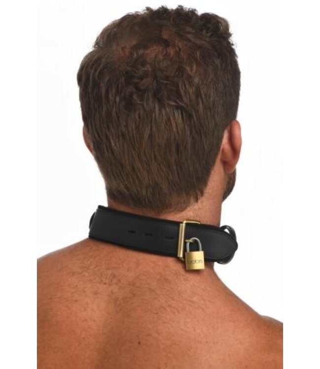 Tracking Halsband - Zwart