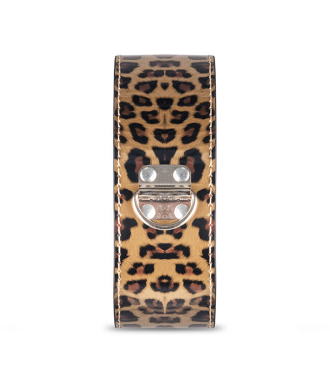 Secret Pleasure Chest - Wicked Wildcat