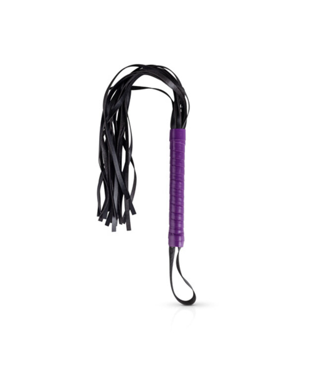 Secret Pleasure Chest - Purple Apprentice