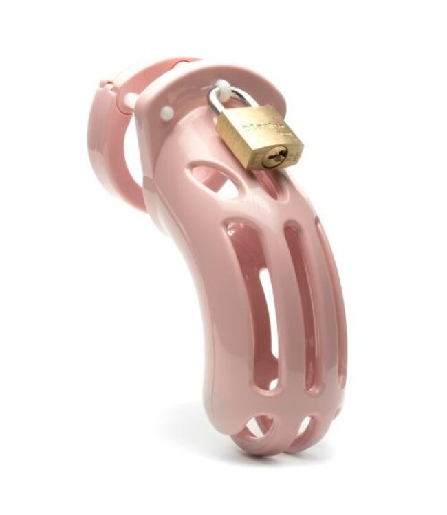 CB-X - The Curve Kuisheidskooi - Roze