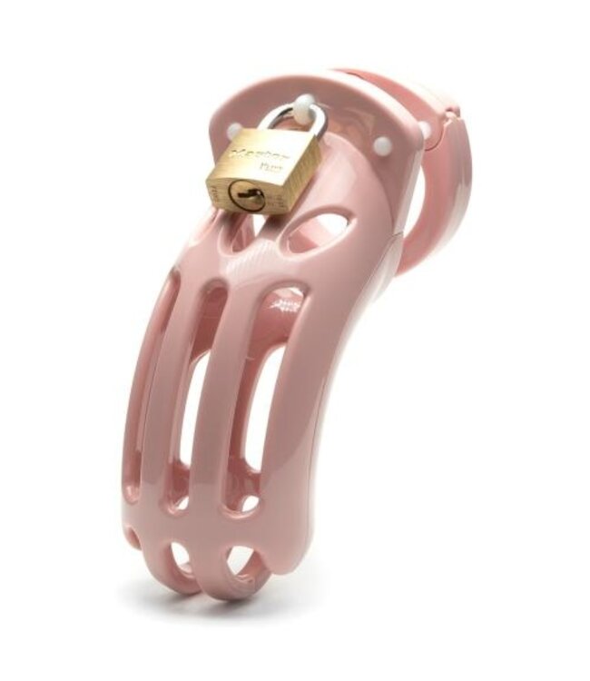CB-X - The Curve Kuisheidskooi - Roze