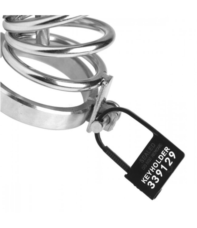 Keyholder Kuisheidskooi Hangslotjes - 10 Stuks