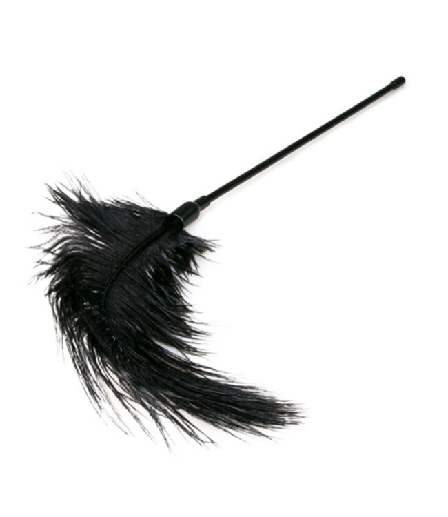 Zwarte veren kietelaar