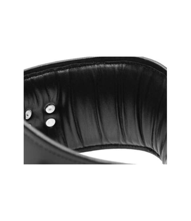 Gewatteerde lederen houding vergrendelende kraag