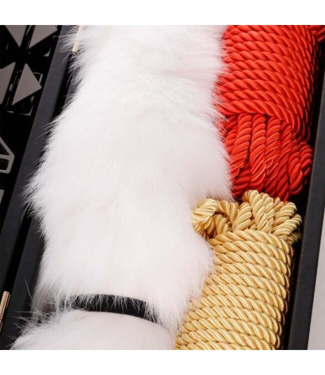 LOCKINK Alles-in-1 BDSM Speelset - zwart