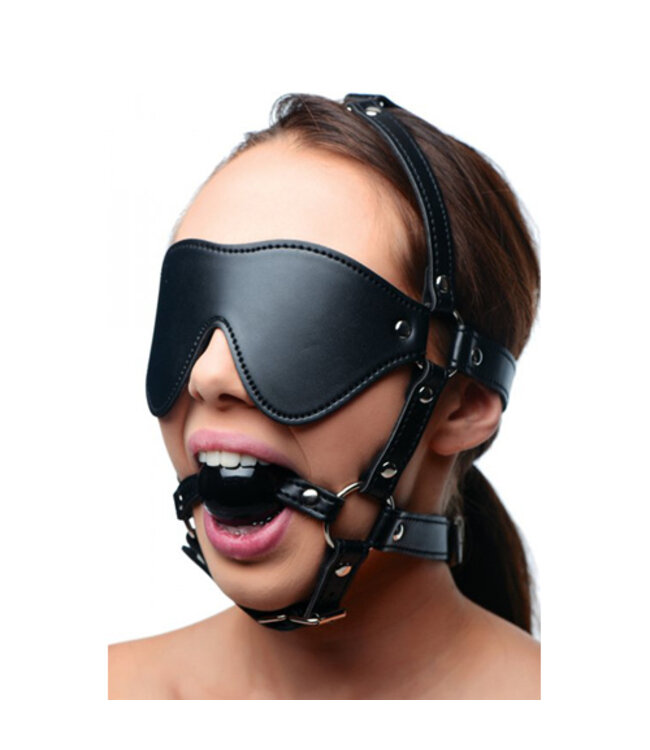 Kunstleren Masker Met Ball Gag