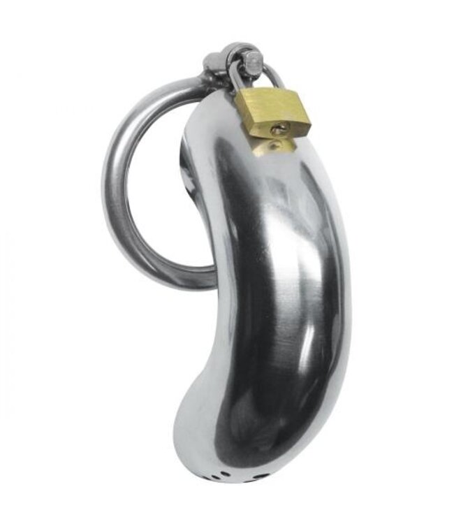 Roestvrij Stalen Penis Kooi Met 3 Ringen