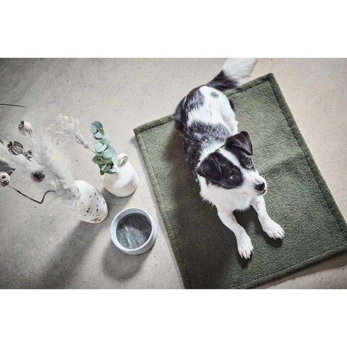 Universele deken - TEDDY