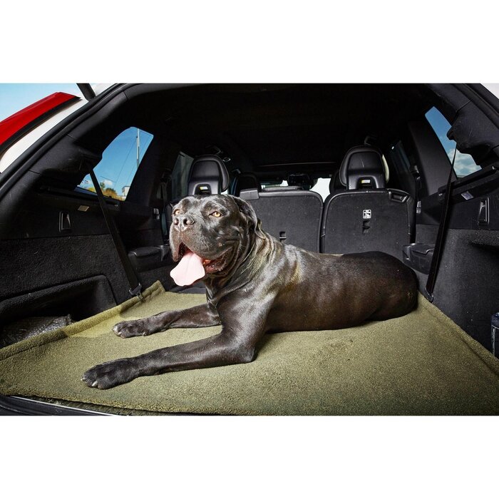 Universele deken - TEDDY