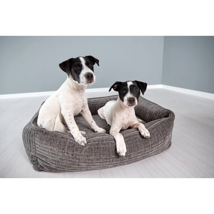 Hondenmand Classic - NOVA