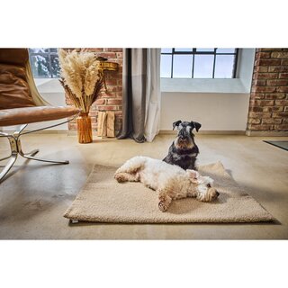 TEDDY - REISDEKEN CRÈME