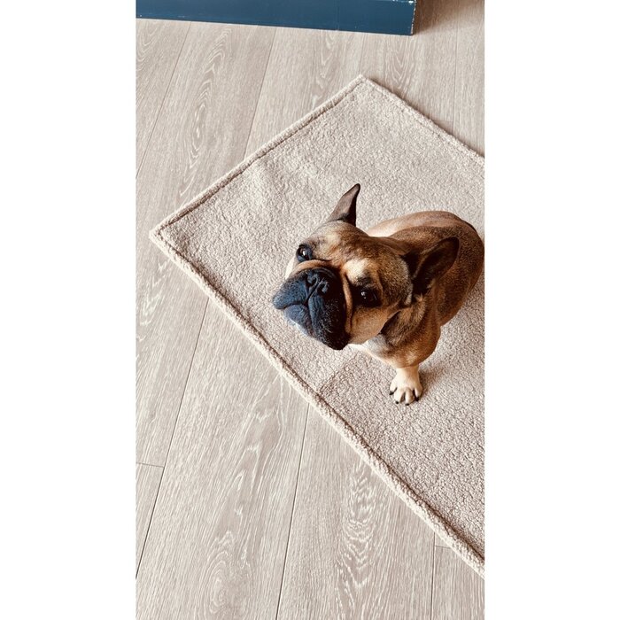 TEDDY - REISDEKEN CRÈME