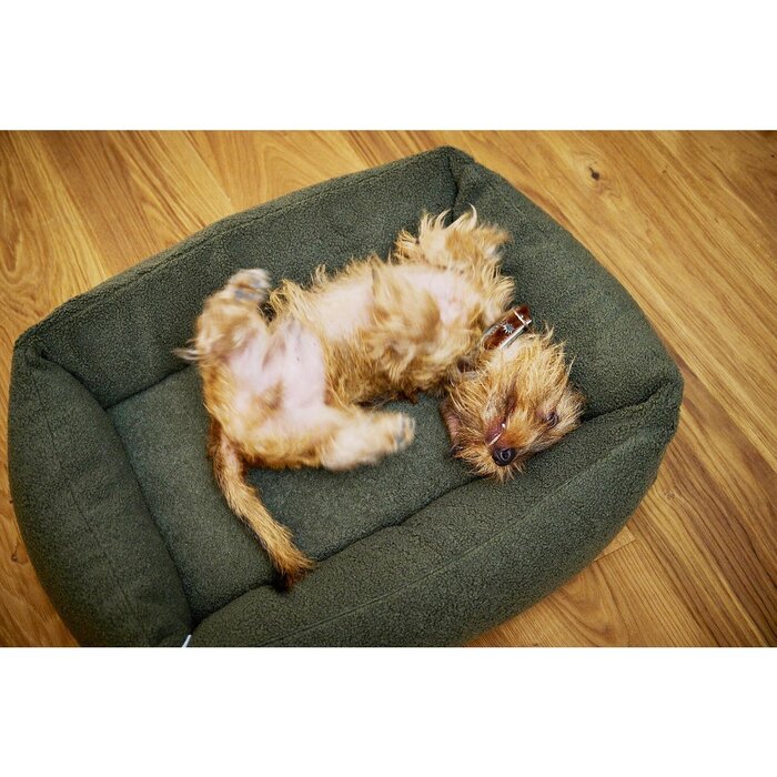 ORTHO hondenbed - TEDDY
