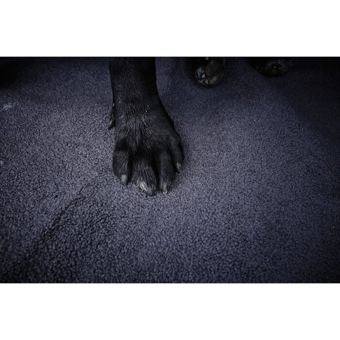 ORTHO hondenbed - TEDDY