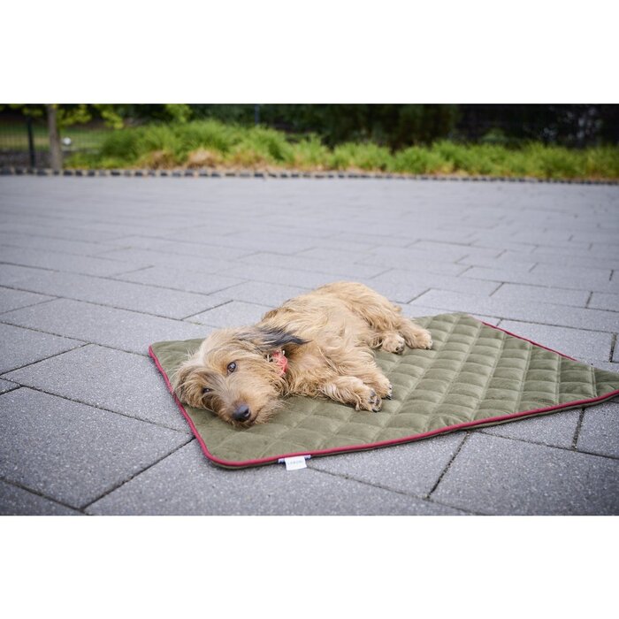 Hondendeken OXFORD Olijf