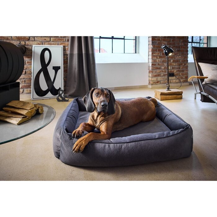 ORTHO hondenmand - BUFFALO