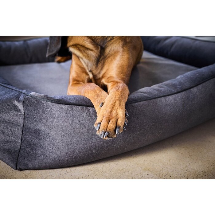 ORTHO hondenmand - BUFFALO