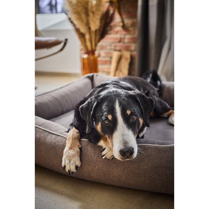 ORTHO hondenmand - BUFFALO