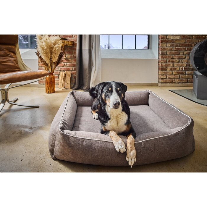 ORTHO hondenmand - BUFFALO