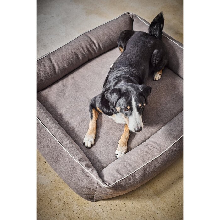 ORTHO hondenmand - BUFFALO