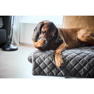 Hondendeken OXFORD - Steen