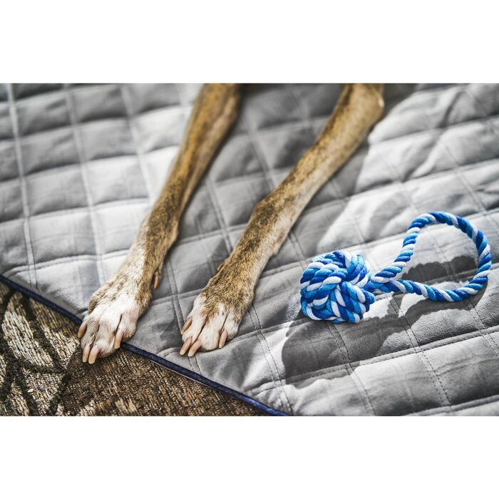 Hondendeken OXFORD - Grijs