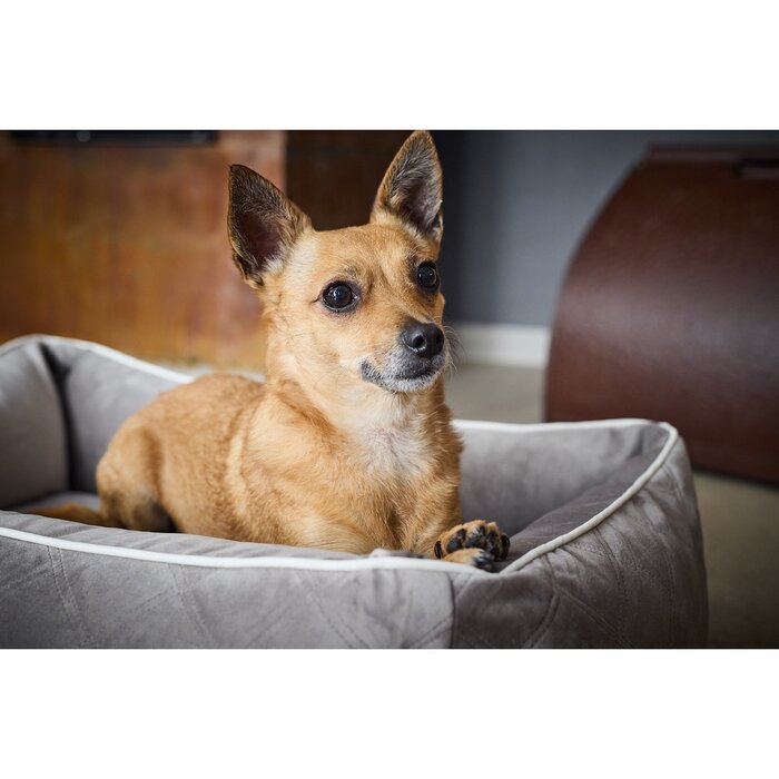 Klassiek hondenbed - OXFORD Taupe