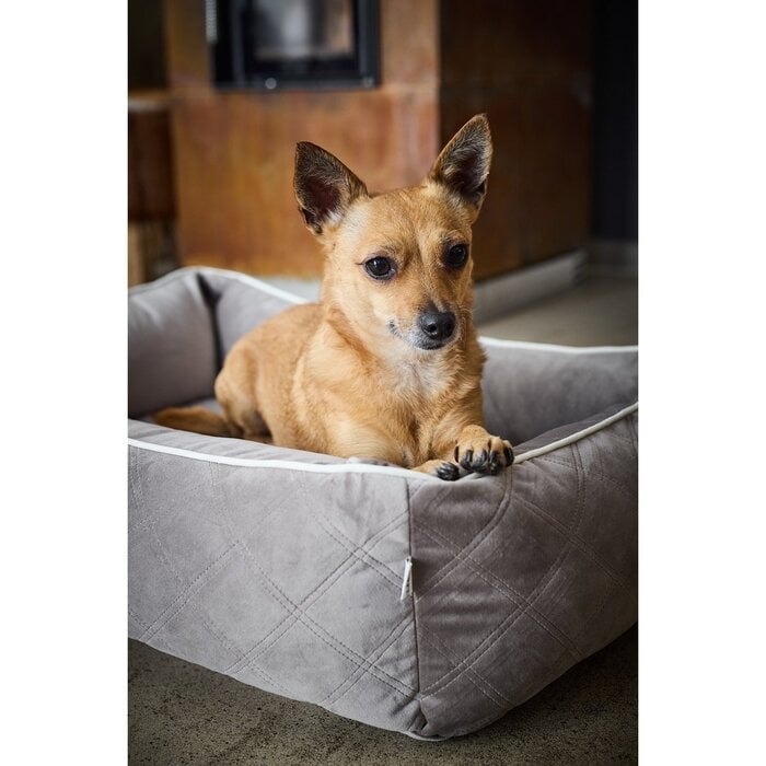 Klassiek hondenbed - OXFORD Taupe