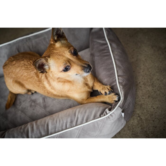 Klassiek hondenbed - OXFORD Taupe