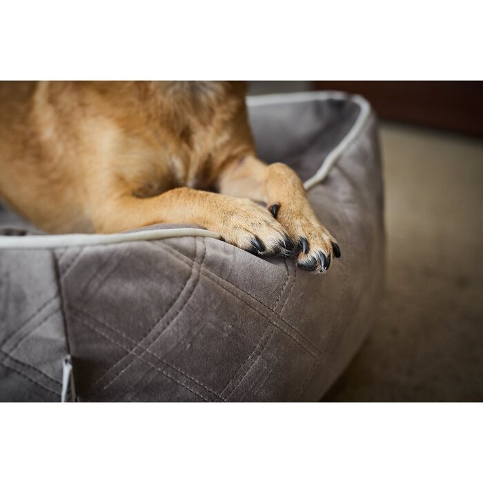 Klassiek hondenbed - OXFORD Taupe