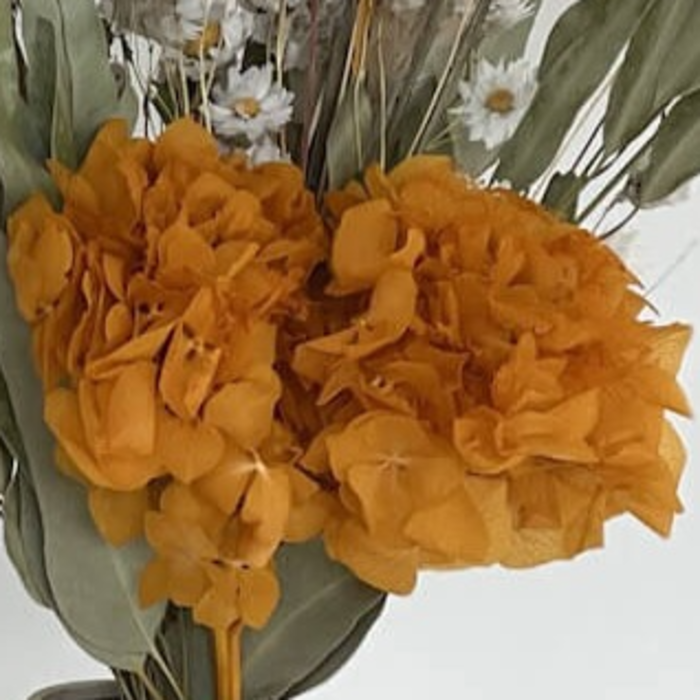 Summer Vibes: Felle kleuren voor je huis in oranje