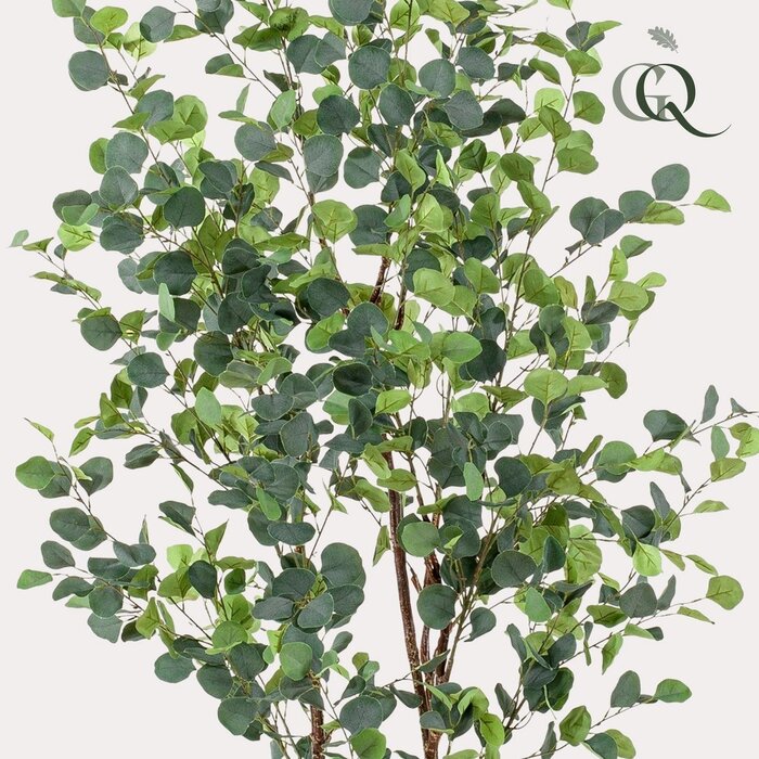 Kunstplant - Eucalyptus - Blauwe Gomboom - 140cm - 180 cm