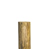Passion Woodlabel Boomstam Lamp - Banff Z1 Passion Woodlabel Boomstam Lamp - Banff Z1