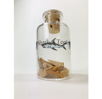 Bottle with Brown Shark Teeth