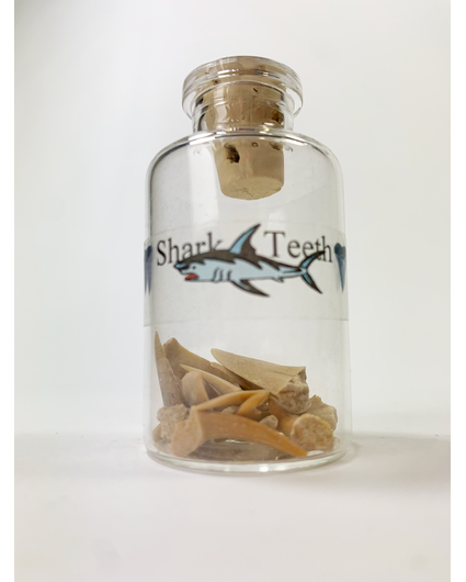 Botella con dientes de tiburón