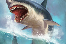 Welke natuurlijke vijanden had de Megalodon?