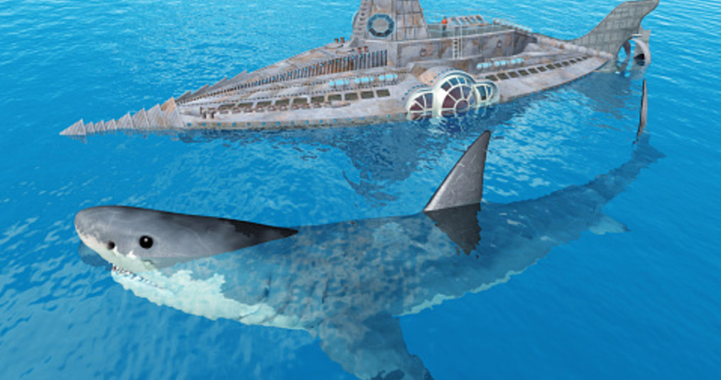 The largest shark in the world, The Megalodon?