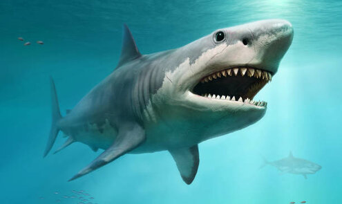 How did the Megalodon originate?