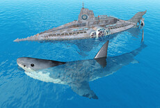 El tiburón más grande del mundo, ¿el Megalodón?