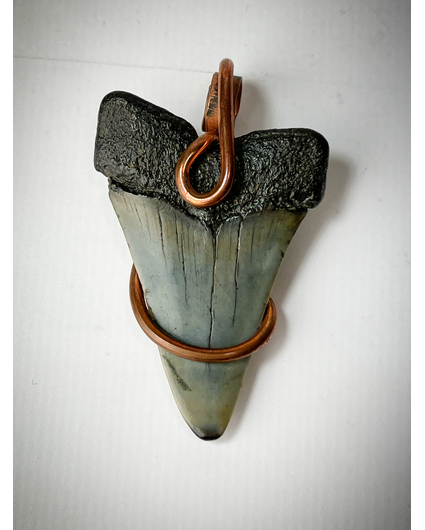Megalodon tooth 'jewellery' (USA) - 4.9 cm (1,93 inch)