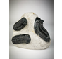 Trilobite 2 Phacops et 1 Hollardops dans la matrice - 12.8 cm (5.04 inches)