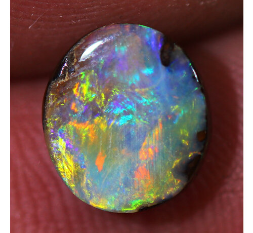 Australischer Opal - Boulder- " Majestic Whirlpool (10 x 9 x 4 mm - 3 Karat) - POC-0366