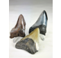 Megalodon tanden 3 kleuren set - "Abyssal Shards" grootste tand 7,4 cm