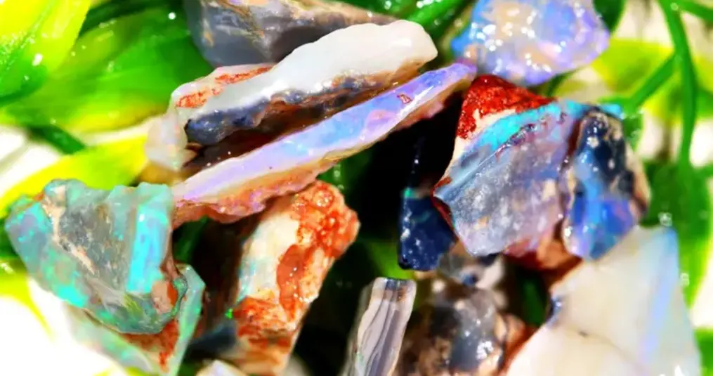 How did the opal get its name?